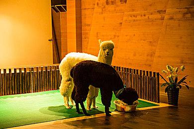 《逆转裁判456：王泥喜精选集》明年1月25日发售 登陆多平台